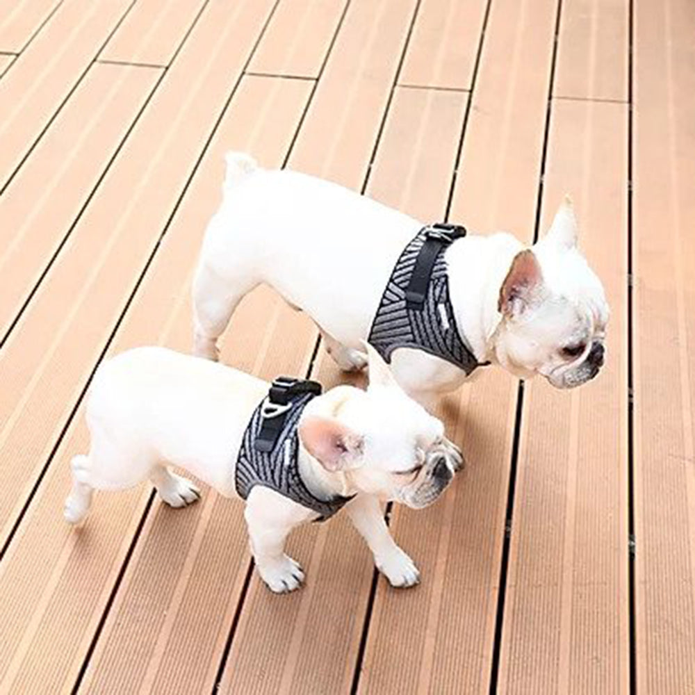 Instachew PETKIT Air Fly Dog Harness-0