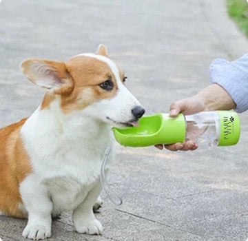 2-in-1 PORTABLE Pet Feeder - Lime Green