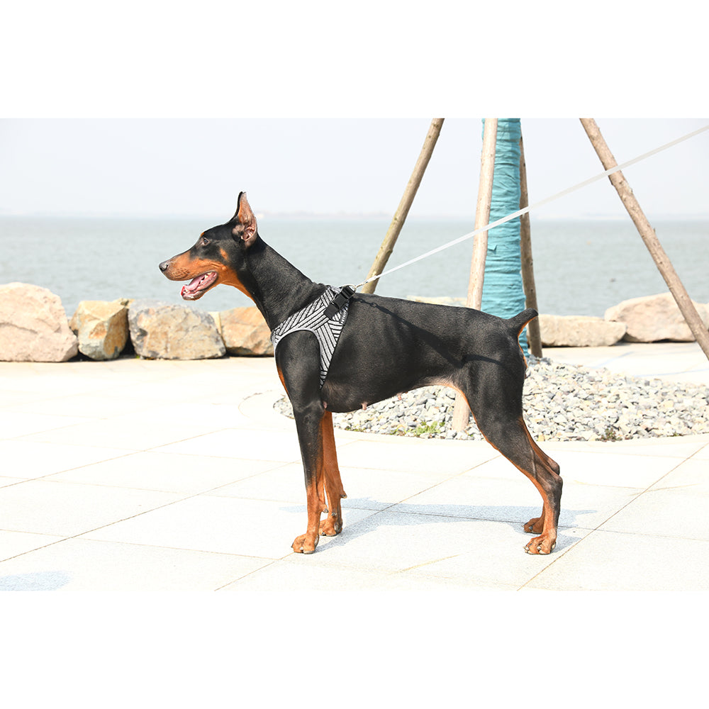 Instachew PETKIT Air Fly Dog Harness-14