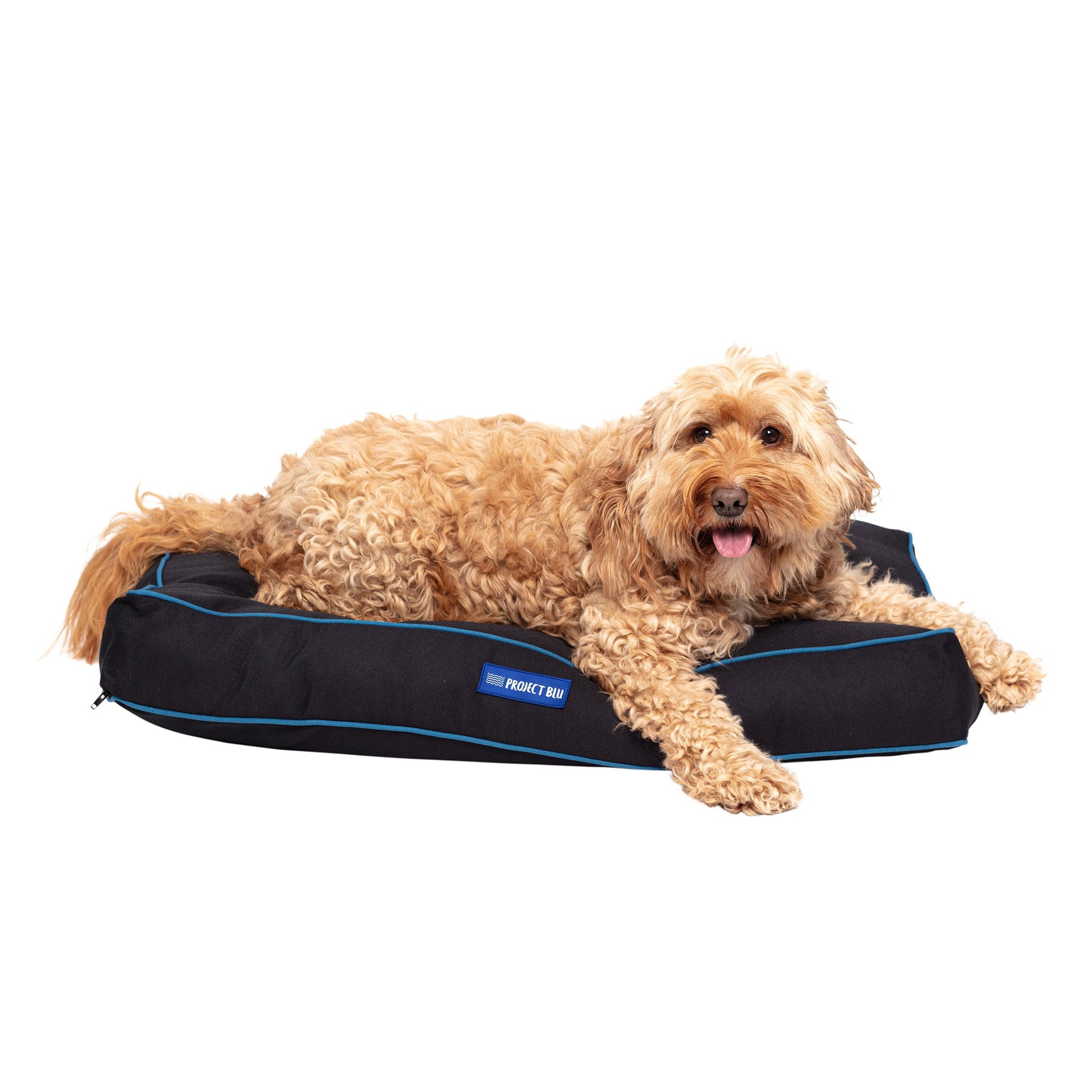 Daytona Eco-Fabric Mattress Dog Bed-2