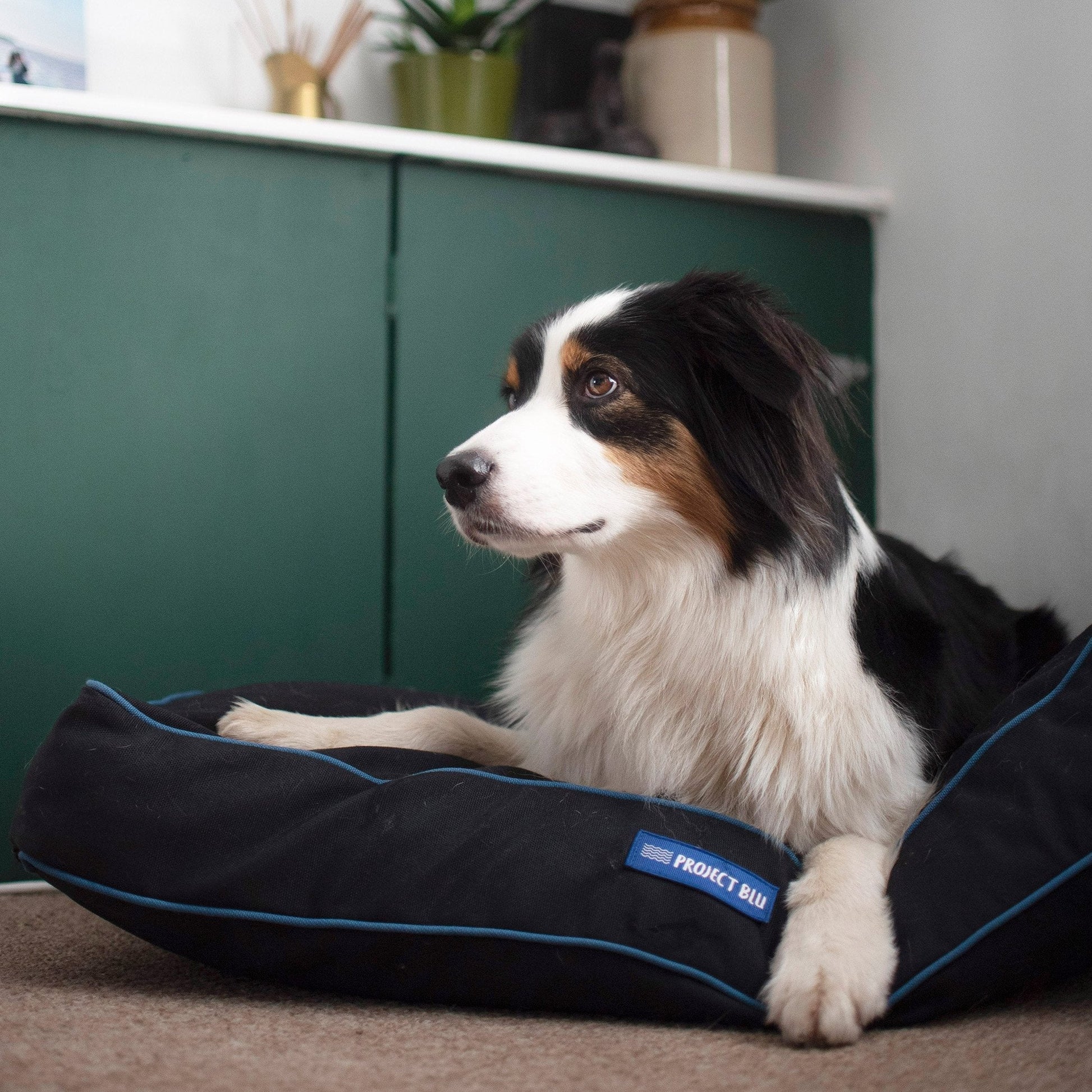 Daytona Eco-Fabric Mattress Dog Bed-3