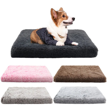 PLUSH PET BED / MAT with Removable Cushion, Washable