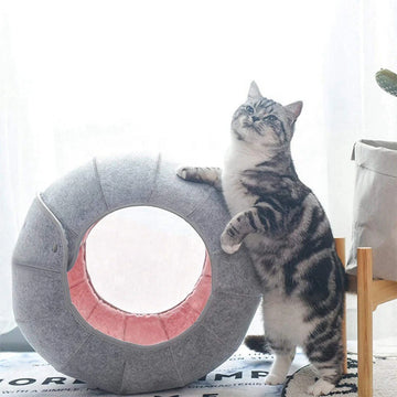 INTERACTIVE Cat Bed / House