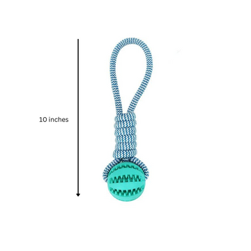 SQUEAKY TOOTHBRUSH & Cotton Rope Ball Toys (3 Pack)