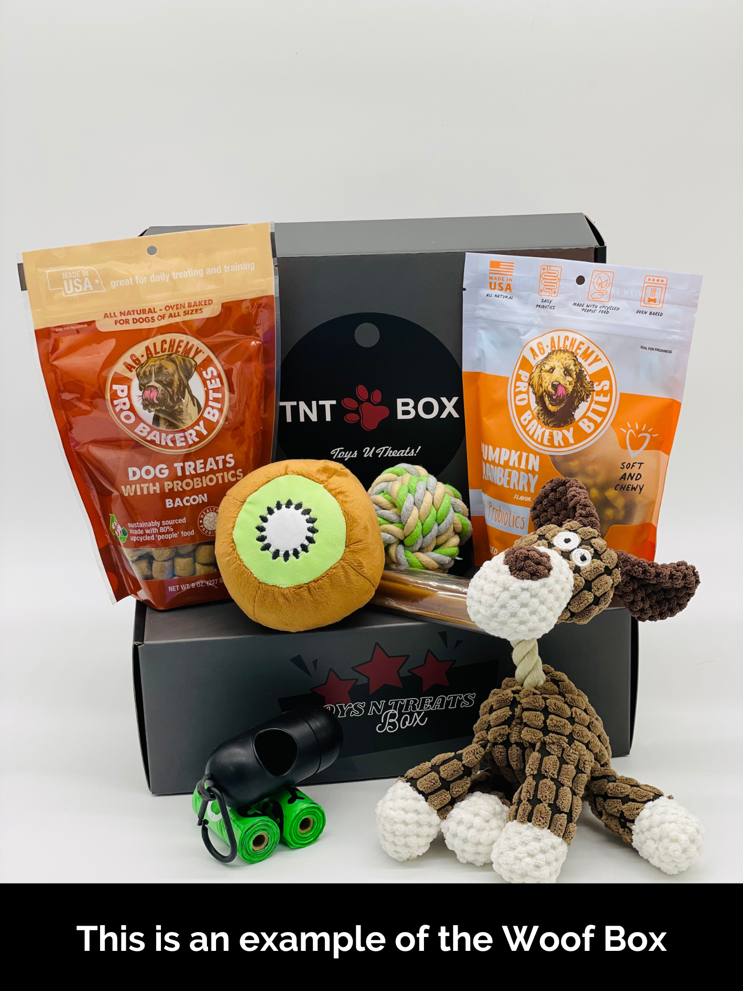 Toys N Treats Boxes-6