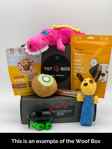 Toys-n-Treats BOXES