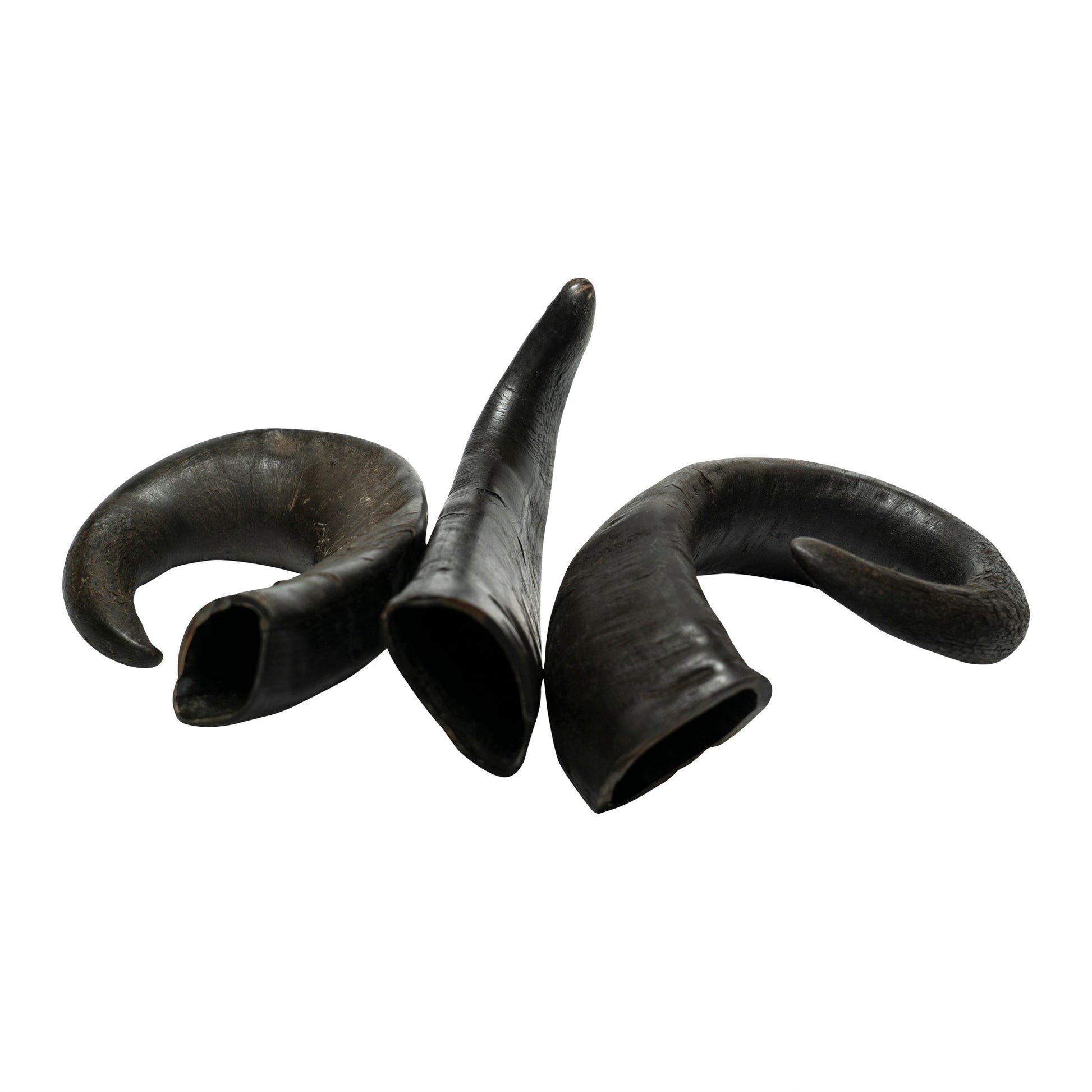 Water Buffalo Horn Dog Chews-2 Count-15 oz (WSP)-5