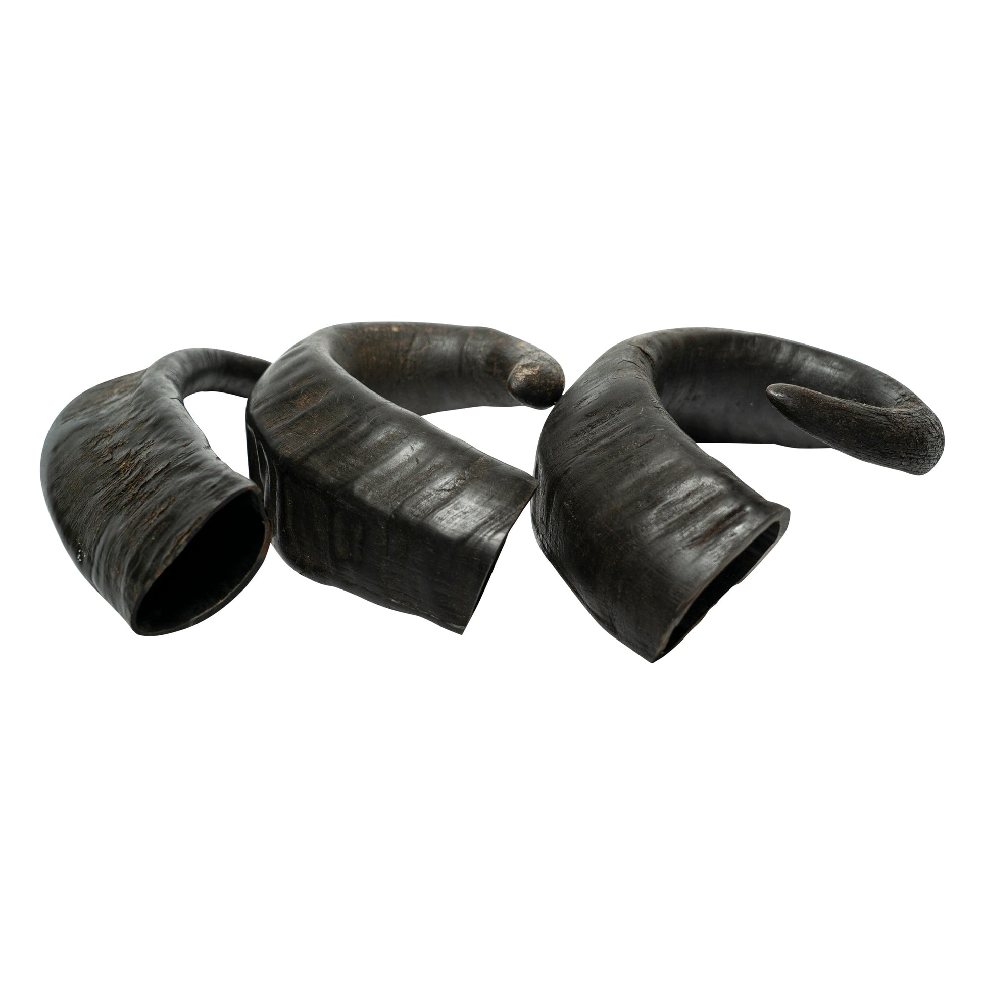 Water Buffalo Horn Dog Chews-2 Count-15 oz (WSP)-6