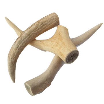 ELK ANTLER Chew - Extra Small (2pk)