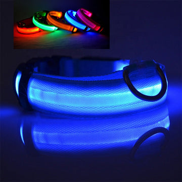 LED DOG Collar (USB Rechargeable)