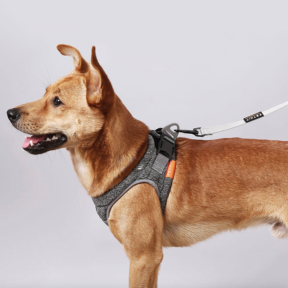 Instachew PETKIT Air Pro Dog Harness-2