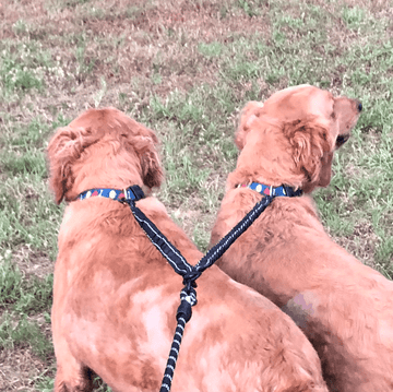 DUEL BUNGEE Leash Add-On