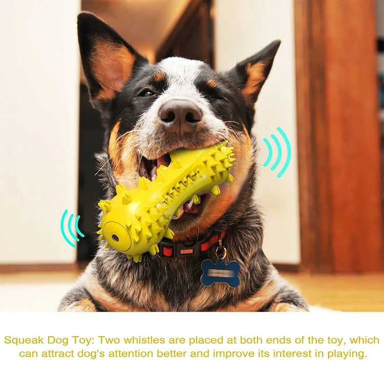 3 Pack Squeaky Toothbrush & Cotton Rope Ball Dog Toys-9