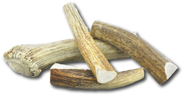 ELK ANTLER Chew - Large