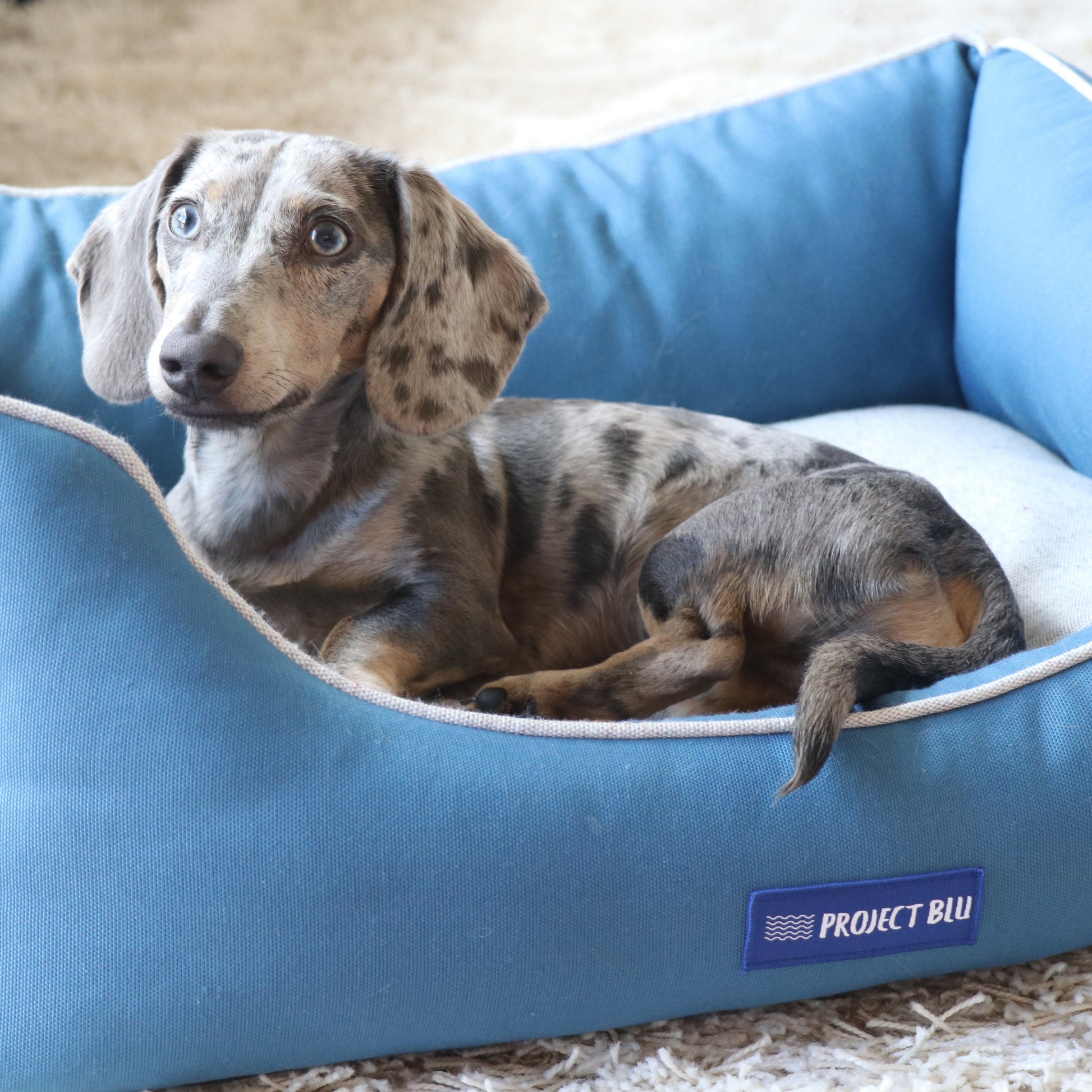 Marlin Eco-Fabric Bolster Dog Bed-5