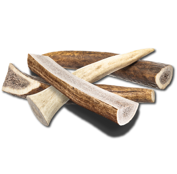 ELK ANTLER Chew - Small