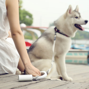 PETKIT Eco-Friendly POOP BAG & DISPENSER