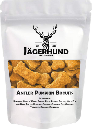 All-Natural ELK ANTLER Pumpkin Biscuits