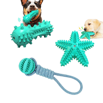 SQUEAKY TOOTHBRUSH & Cotton Rope Ball Toys (3 Pack)